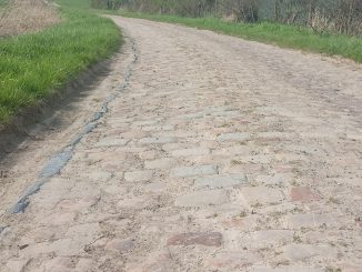 pavés Paris-Roubaix