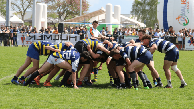 Rugby Ovalies