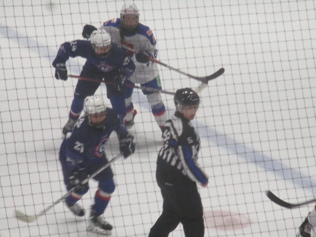 Hockey/glace France-Slovaquie à Dunkerque