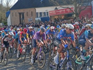 Nokere Koerse 2026 peloton