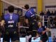 Volley Cambrai Saint-Quentin LMB