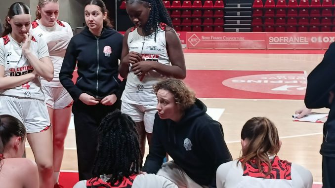 Basket esbva Marine Souverain