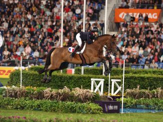 Equitation Nina Mallevaey Aix-la-Chapelle Mondiaux