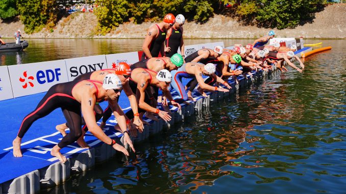 Natation Paris 2026 knock-out