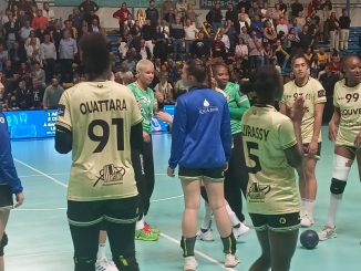 Vac Saint-Amand Handball